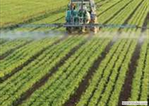 Health Destroying Chemical Farming