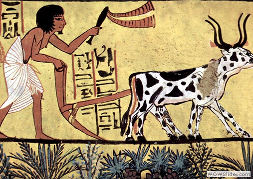 Ancient Egyptian Agriculture