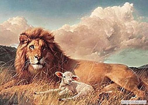 Lion & Lamb in World Tomorrow
